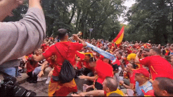 World Cup Football GIF