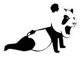 panda push up gif