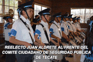 berenicebarreto  GIF