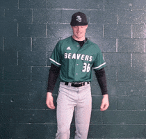 Baseball Celebrate GIF by Bemidji State Beavers
