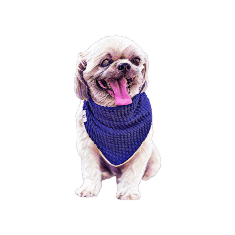 Chenandcompany Sticker by Bellucci Manila