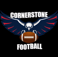 ccaeagle GIF