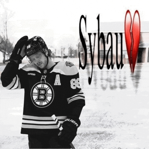Nhl Dpl GIF