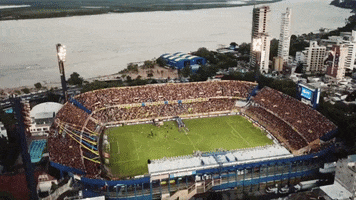 Club Atlético Rosario Central GIF