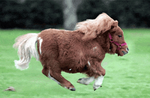 Partee GIF