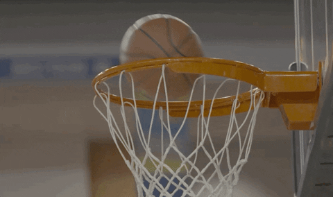 Ncaa Sports Sport GIF by Delaware Blue Hens - Find & Share on GIPHY