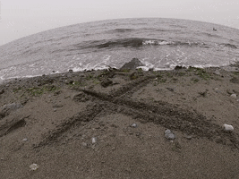 Beach GIF