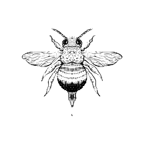 Bug Abb Sticker
