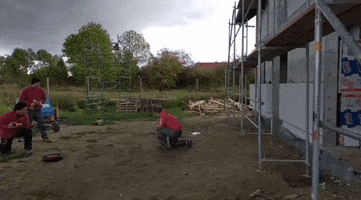 F1 GIF