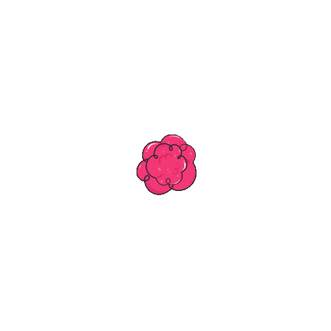 Design Wow Sticker