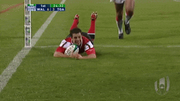 Celebrate World Cup GIF by World Rugby