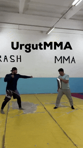Ufc Mma GIF