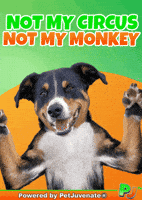 Henlo Hooman Fren GIF by PetJuvenate - PJ