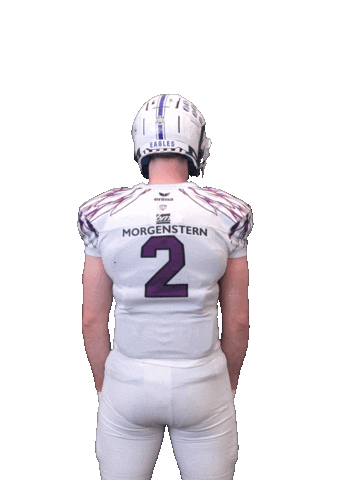 Reutlingen Eagles Sticker