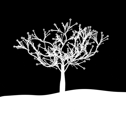 Growing Black And White GIF by xponentialdesign