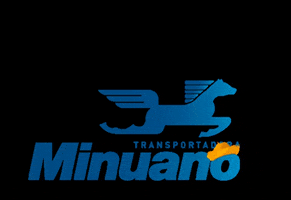 Minuano Minu GIF by Diego Sehnem