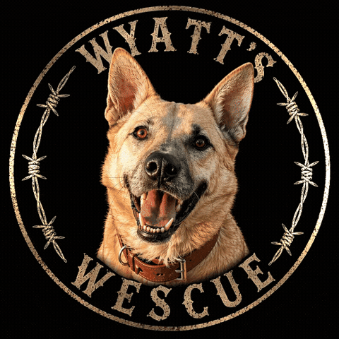 Barbed Wire Dog GIF by RescueMeATL