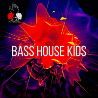 Bass House GIF by Perditio
