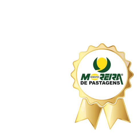 Sementes Moreira Sticker