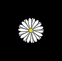 Flores GIF