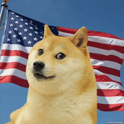 4Th Of July Usa GIF by Own The Doge