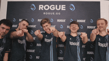 Laugh Team GIF by Rogue