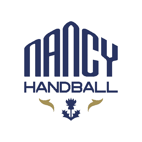 Proligue Villedenancy Sticker by Nancy Handball