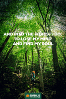 Quote Forest GIF by Borealis on trekking
