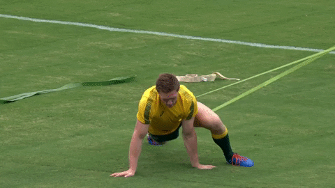 World Rugby Sport GIF by Rugby World Cup - Find & Share on GIPHY