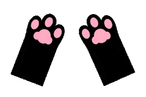 Cat Illustration Sticker by Kivee