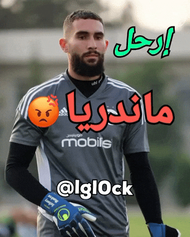 Football Algeria GIF