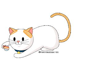 Porto dos Gatos Sticker