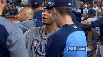 Talking Tampa Bay Rays GIF by MLB