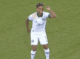 Happy Good Vibes GIF by Major League Soccer