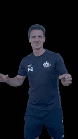 sgvulkaneifel2018 GIF