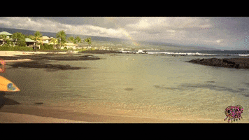 surfs up running GIF by Pepper
