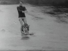 Dog Waterskiing GIF by US National Archives
