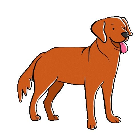 Golden Retriever Dog Sticker by byjohannafritz