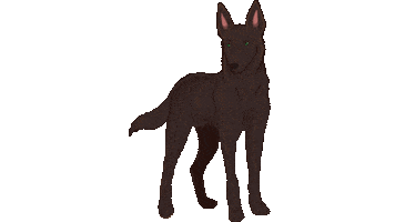 Koira Sticker by Lybecker_animaatio