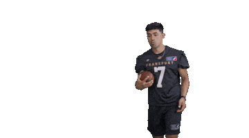 Frankfurt Galaxy Sticker