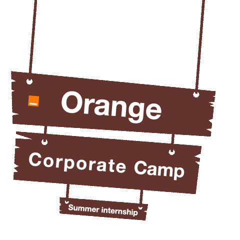 Summer Internship Corporate Camp Sticker by LifeatOrangeEgypt
