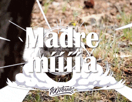 Mamma Mia Padrisimo GIF by 100Thanks