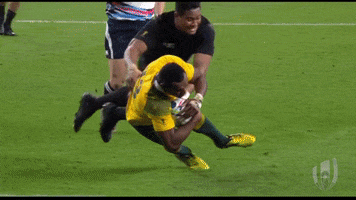 Happy World Rugby GIF by Rugby World Cup