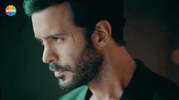 Baris Arduc Face GIF by Show TV