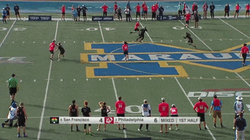 Amp6-4Mischief GIF