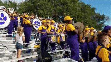 Football Marching GIF by Western Illinois University