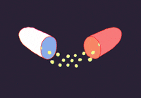 Imbecile Heureux Gifs Get The Best Gif On Giphy