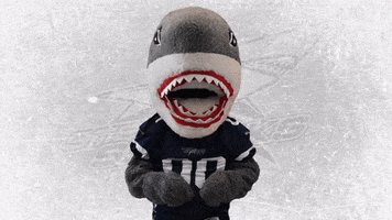 American Football Touchdown GIF by Steelsharks