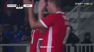 Sl Benfica Applause GIF by Sport Lisboa e Benfica