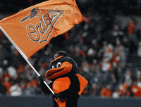 Baltimore Orioles Austin Hays GIF - Baltimore Orioles Austin Hays Orioles -  Discover & Share GIFs